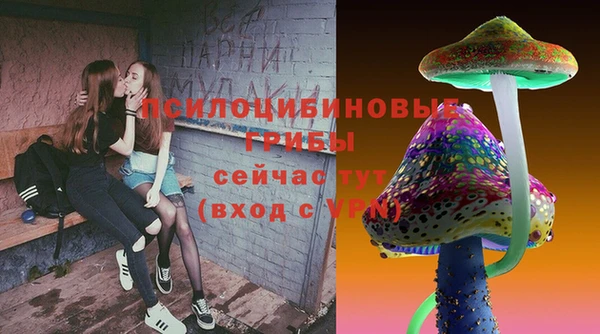 apvp Балахна