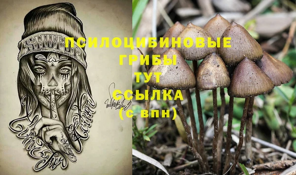 амф Балабаново