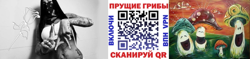 Псилоцибиновые грибы GOLDEN TEACHER  хочу наркоту  Белая Холуница 